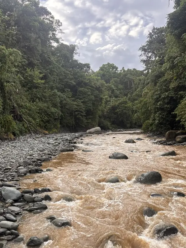 Rio de águas claras correndo entre pedras